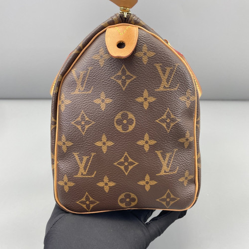 Louis Vuitton Speedy 25 Monogram Brown