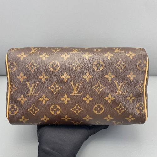 Louis Vuitton Speedy 25 Monogram Brown