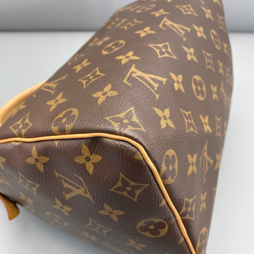 Louis Vuitton Speedy 25 Monogram Brown