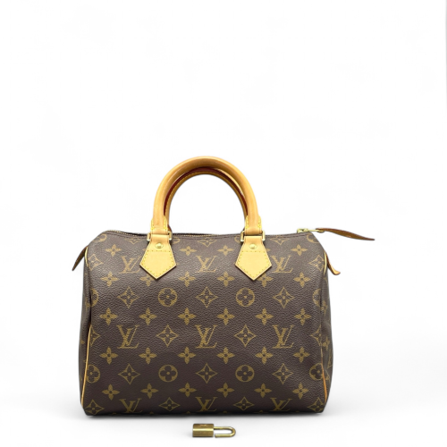 Louis Vuitton Speedy 25 Monogram Brown