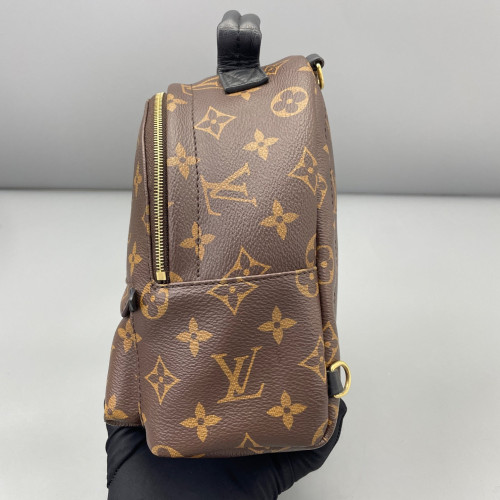 Louis Vuitton Palm Springs Backpack Mini Monogram Brown Black