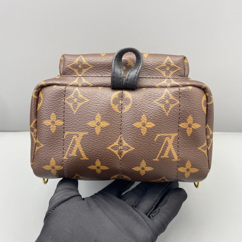 Louis Vuitton Palm Springs Backpack Mini Monogram Brown Black