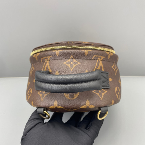 Louis Vuitton Palm Springs Backpack Mini Monogram Brown Black