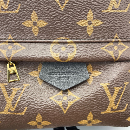 Louis Vuitton Palm Springs Backpack Mini Monogram Brown Black