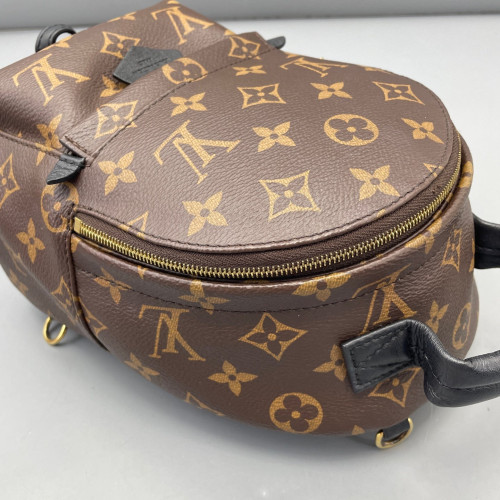 Louis Vuitton Palm Springs Backpack Mini Monogram Brown Black