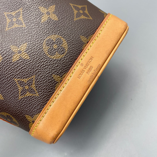 Louis Vuitton Nano Noe Monogram Brown