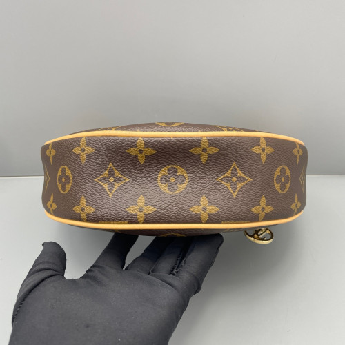 Louis Vuitton Loop Monogram Brown