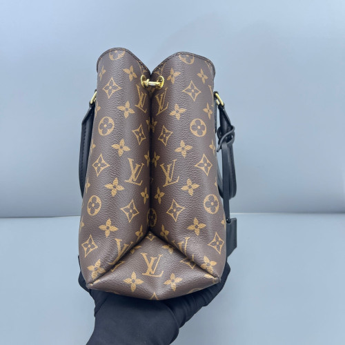Louis Vuitton Flower Tote Monogram Brown Black