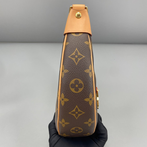 Louis Vuitton Loop Monogram Brown