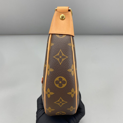 Louis Vuitton Loop Monogram Brown