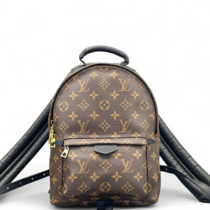 Louis Vuitton Palm Springs Backpack PM Monogram Brown