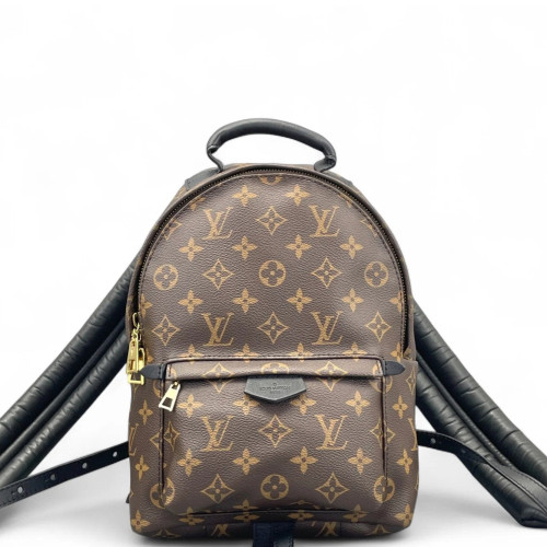 Louis Vuitton Palm Springs Backpack PM Monogram Brown