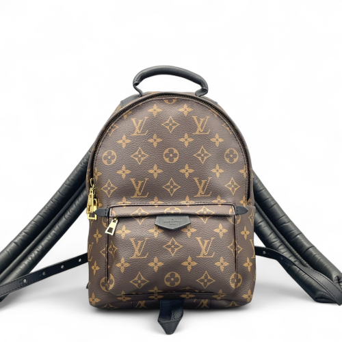 Louis Vuitton Palm Springs Backpack PM Monogram Brown