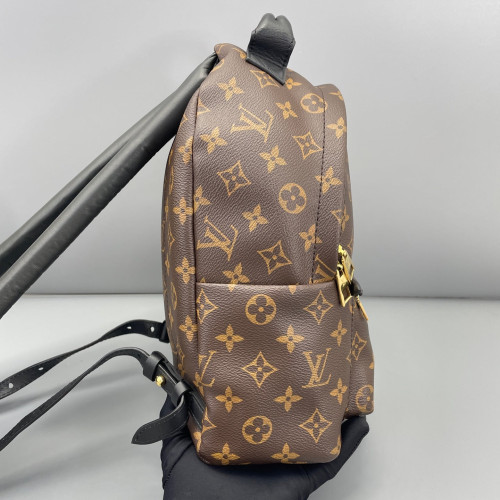 Louis Vuitton Palm Springs Backpack PM Monogram Brown