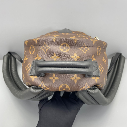 Louis Vuitton Palm Springs Backpack PM Monogram Brown