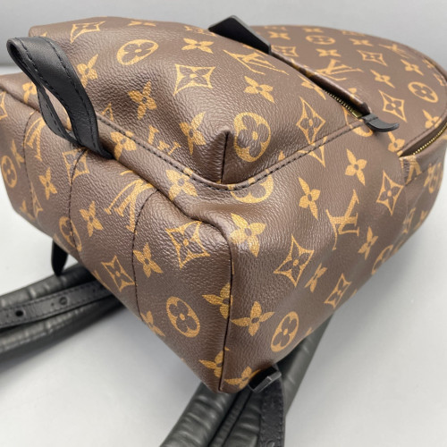 Louis Vuitton Palm Springs Backpack PM Monogram Brown