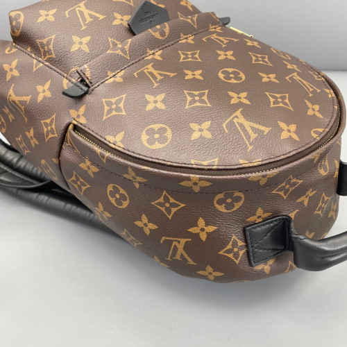 Louis Vuitton Palm Springs Backpack PM Monogram Brown