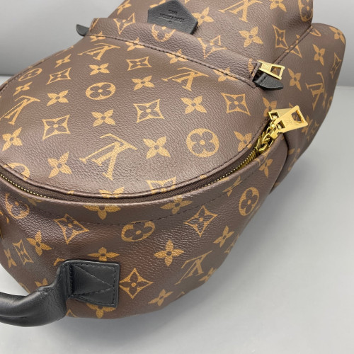 Louis Vuitton Palm Springs Backpack PM Monogram Brown