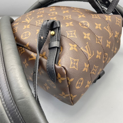 Louis Vuitton Palm Springs Backpack PM Monogram Brown