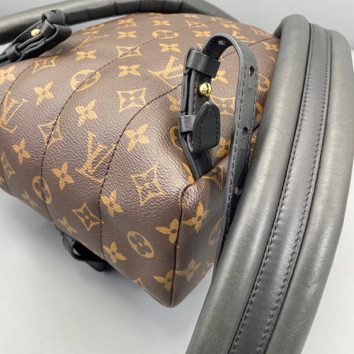 Louis Vuitton Palm Springs Backpack PM Monogram Brown