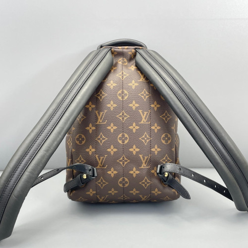 Louis Vuitton Palm Springs Backpack PM Monogram Brown