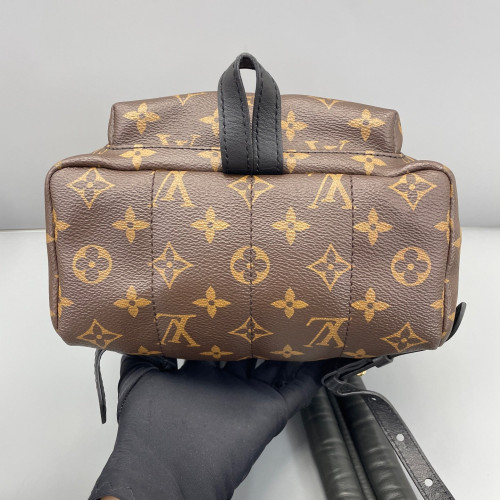 Louis Vuitton Palm Springs Backpack PM Monogram Brown