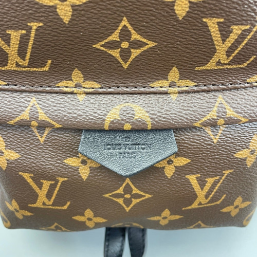Louis Vuitton Palm Springs Backpack PM Monogram Brown