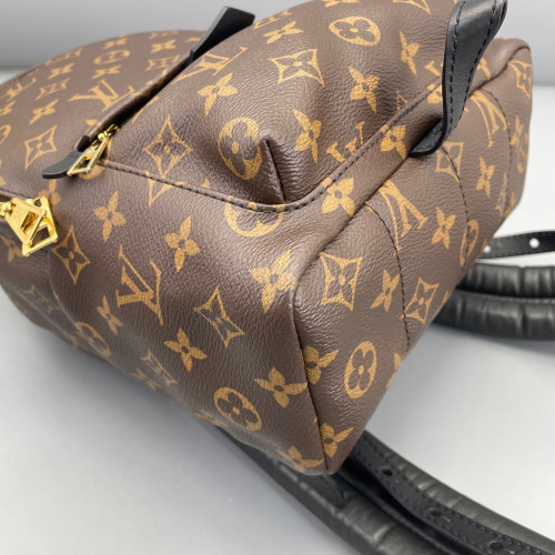 Louis Vuitton Palm Springs Backpack PM Monogram Brown