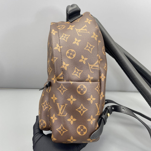 Louis Vuitton Palm Springs Backpack PM Monogram Brown