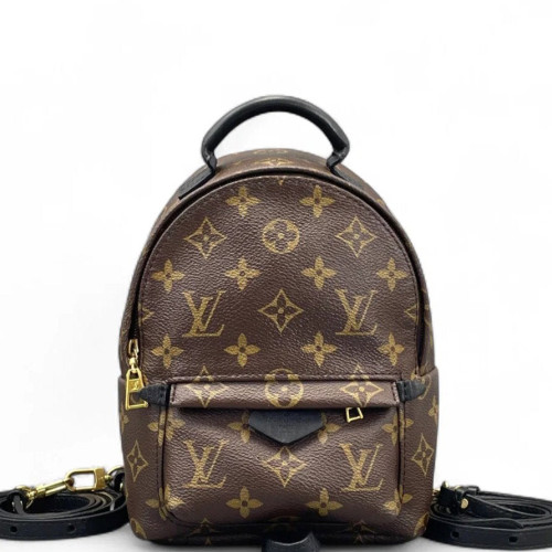 Louis Vuitton Palm Springs Backpack Mini Monogram Brown Louis Vuitton Palm Springs Backpack Mini Monogram Brown