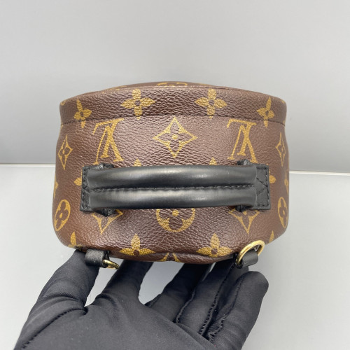 Louis Vuitton Palm Springs Backpack Mini Monogram Brown Louis Vuitton Palm Springs Backpack Mini Monogram Brown