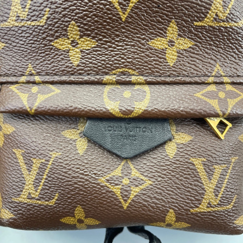 Louis Vuitton Palm Springs Backpack Mini Monogram Brown Louis Vuitton Palm Springs Backpack Mini Monogram Brown