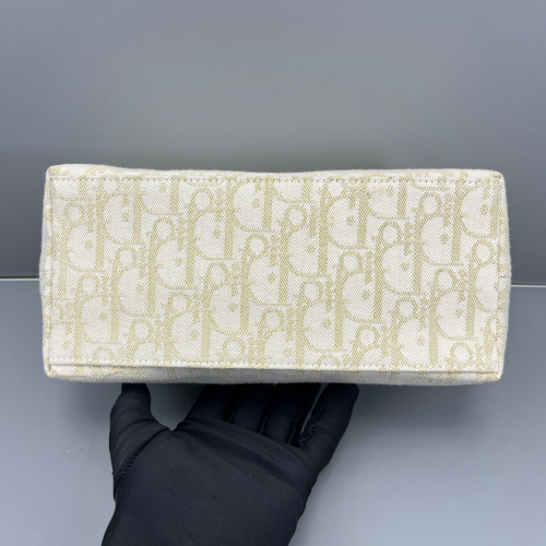 Dior Diortravel Nomad Pouch Oblique Pale Gold Beige