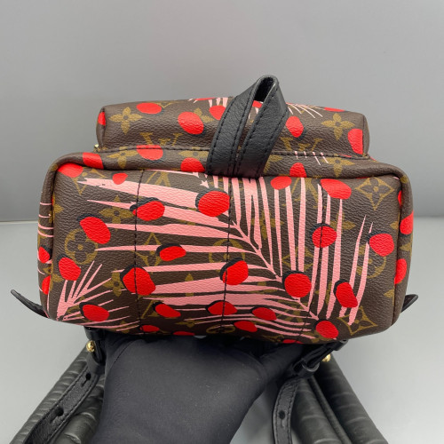 Louis Vuitton Jungle Palm Springs Backpack PM Monogram Brown Red Pink