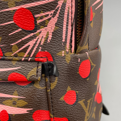 Louis Vuitton Jungle Palm Springs Backpack PM Monogram Brown Red Pink