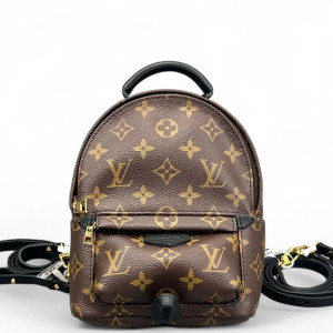 Louis Vuitton Palm Springs Backpack Mini Monogram Brown