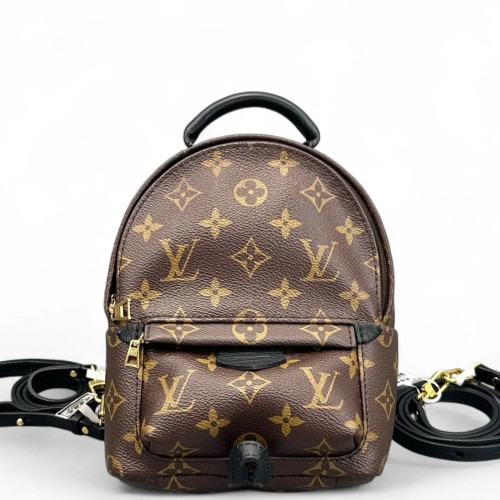 Louis Vuitton Palm Springs Backpack Mini Monogram Brown
