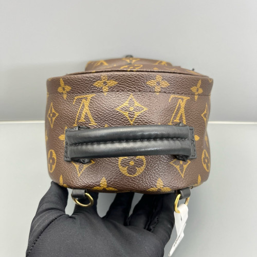 Louis Vuitton Palm Springs Backpack Mini Monogram Brown
