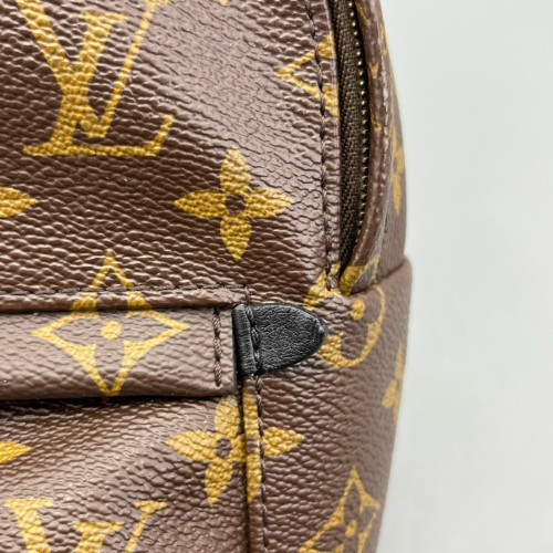 Louis Vuitton Palm Springs Backpack Mini Monogram Brown
