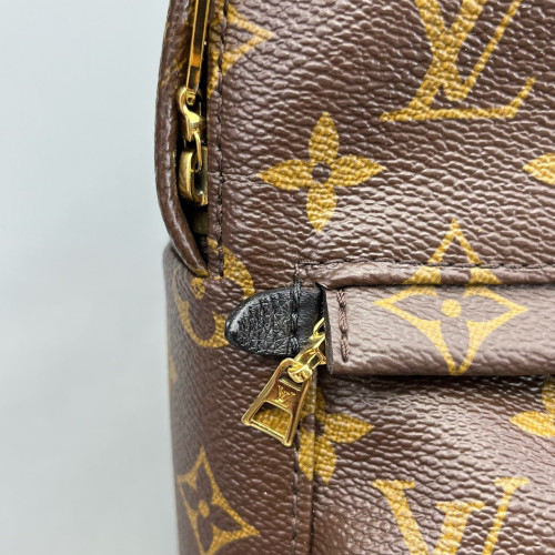 Louis Vuitton Palm Springs Backpack Mini Monogram Brown