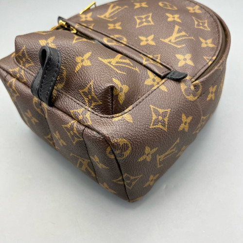 Louis Vuitton Palm Springs Backpack Mini Monogram Brown