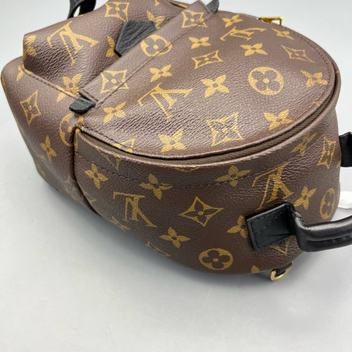 Louis Vuitton Palm Springs Backpack Mini Monogram Brown