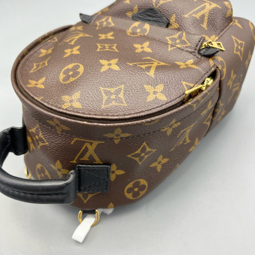 Louis Vuitton Palm Springs Backpack Mini Monogram Brown