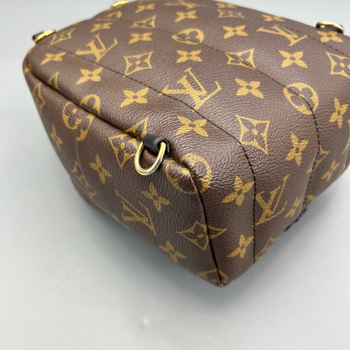 Louis Vuitton Palm Springs Backpack Mini Monogram Brown