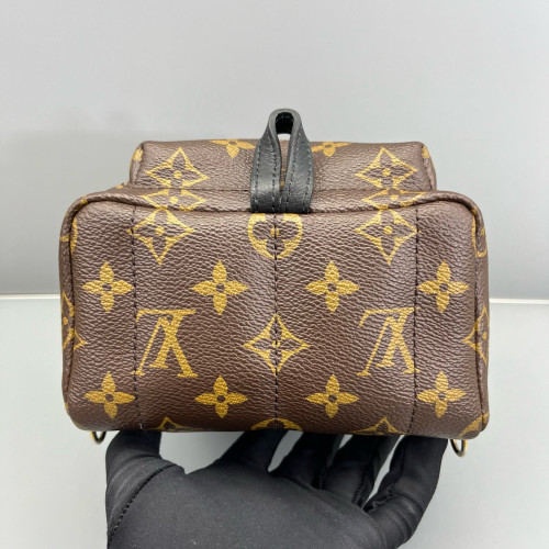 Louis Vuitton Palm Springs Backpack Mini Monogram Brown