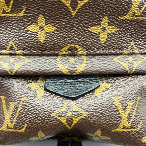 Louis Vuitton Palm Springs Backpack Mini Monogram Brown