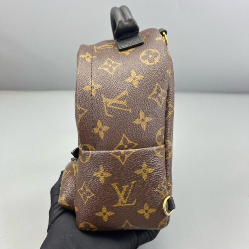 Louis Vuitton Palm Springs Backpack Mini Monogram Brown
