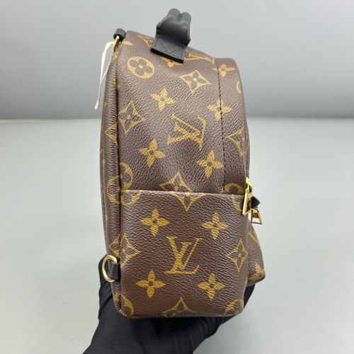 Louis Vuitton Palm Springs Backpack Mini Monogram Brown