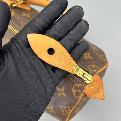 Louis Vuitton Speedy 25 Monogram Brown