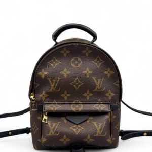 Louis Vuitton Palm Springs Backpack Mini Monogram Brown